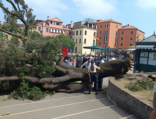 Venezia: Albero crolla su un gruppo di persone, colpita quasi in pieno una donna