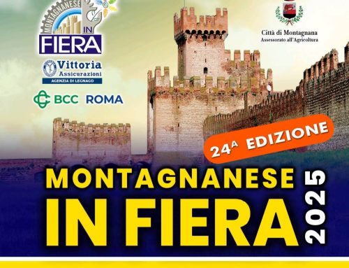 Montagnanese in Fiera 2025 – 24ª Edizione 4 – 5 ottobre 2025 | Montagnana (PD)