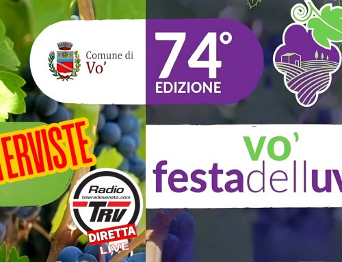 La Festa dell’Uva 2025 ha colorato Vo’ di vino, arte e tradizione. [INTERVISTE]
