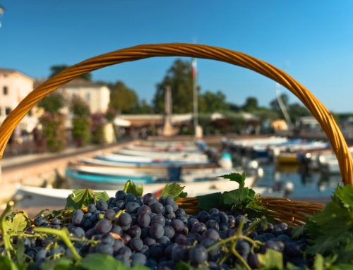 Festa dell’Uva Bardolino, un’edizione da incorniciare: più visitatori e trasporti da record