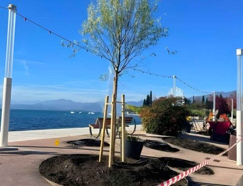 BARDOLINO: Restyling del Lungolago Lenotti, nuove piante per valorizzare il verde e il miglioramento del decoro urbano