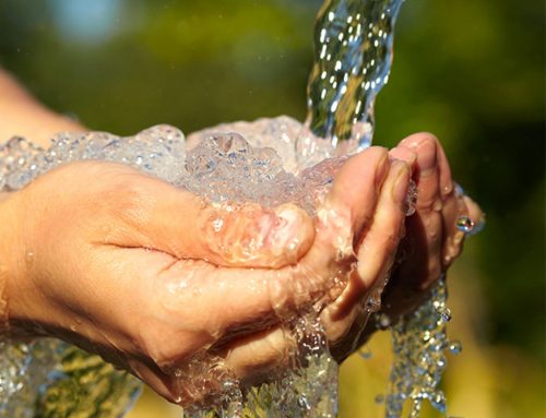 Contaminazione da PFBA: nasce il Comitato Provinciale di Coordinamento per chiedere di potenziare i monitoraggi e le indagini sui siti di deposito