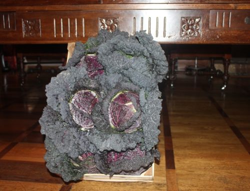 Successo della Festa della Verza Moretta”… Perfetta organizzazione e eccezionale enogastronomia, incontri e serenità