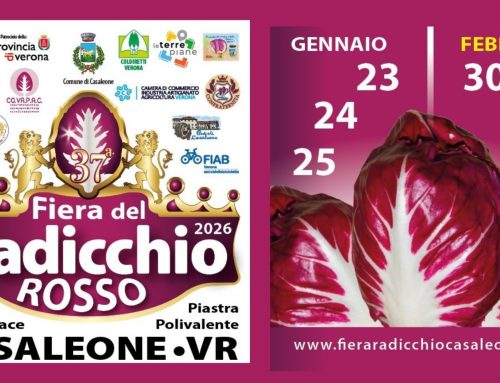 Casaleone celebra il Radicchio Rosso: dal 23 gennaio al 1° febbraio 2026 la 37ª Fiera