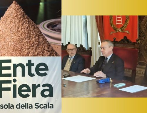 Riso italiano protagonista al Parlamento Europeo: presentato a Verona l’evento del 4 marzo su filiera, consumi e strategie per il Made in Italy