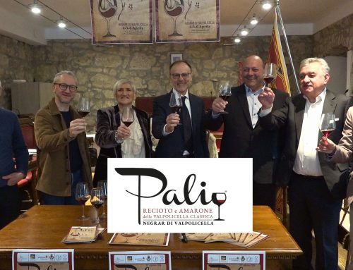 Palio del Recioto e dell’Amarone 2026: a Negrar torna l’evento simbolo della Valpolicella