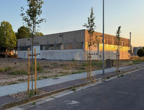 Cerea investe sulla zona industriale: nuove alberature e interventi per la sicurezza
