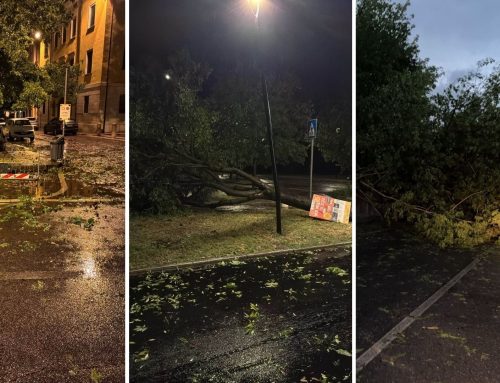 Notte di maltempo sul Veneto: vento impetuoso, blackout e centinaia di interventi. La Bassa Veronese tra le aree più colpite